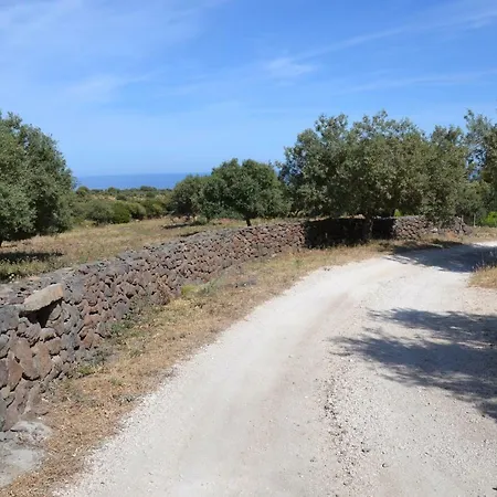 Casa Indipendente Immersa Nel Verde Con Vista Mare Dorgali Exterior photo