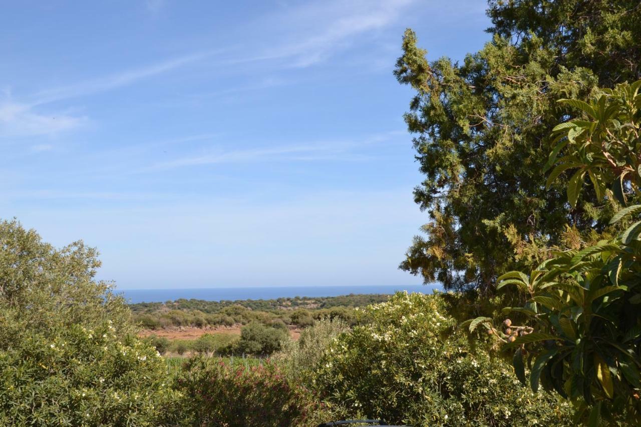 Casa Indipendente Immersa Nel Con Vista Mare *