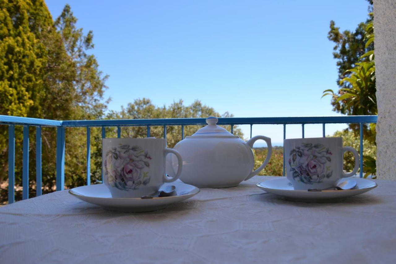 Casa Indipendente Immersa Nel Con Vista Mare Holiday home